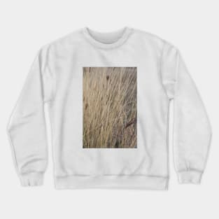 prairie photo Crewneck Sweatshirt